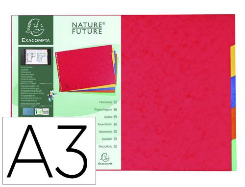Intercalaire 5 positions Exacompta carte lustrée 400g/m² A3 à l'italienne couleurs assorties