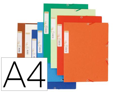 Chemise 3 rabats exacompta forever carte recyclée 380g format a4 24x32cm étiquette dos élastique coloris assorti